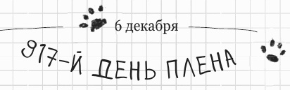 Иллюстрация к книге — Дневник дебильного кота 2. Банда Эдгара [i_170.jpg]