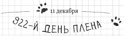 Иллюстрация к книге — Дневник дебильного кота 2. Банда Эдгара [i_174.jpg]