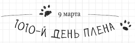 Иллюстрация к книге — Дневник дебильного кота 2. Банда Эдгара [i_189.jpg]