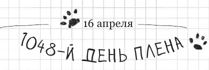Иллюстрация к книге — Дневник дебильного кота 2. Банда Эдгара [i_195.jpg]