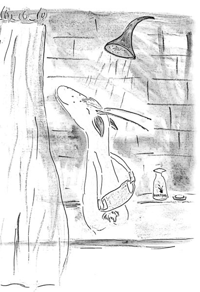 Иллюстрация к книге — Один год из жизни козы Фроси Помидоркиной [i_002.jpg]