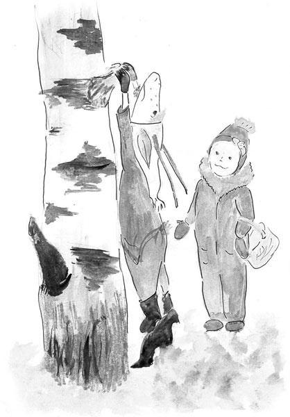 Иллюстрация к книге — Один год из жизни козы Фроси Помидоркиной [i_004.jpg]