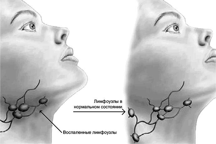 Иллюстрация к книге — FreshLife28. Как начать новую жизнь в понедельник и не бросить во вторник [i_008.jpg]