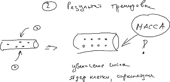 Иллюстрация к книге — FreshLife28. Как начать новую жизнь в понедельник и не бросить во вторник [i_036.jpg]