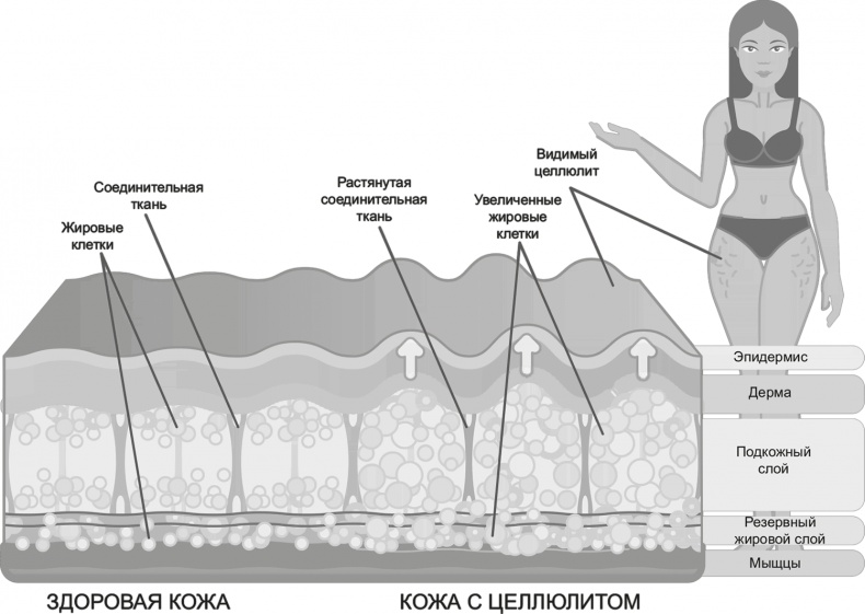 Иллюстрация к книге — FreshLife28. Как начать новую жизнь в понедельник и не бросить во вторник [i_039.jpg]