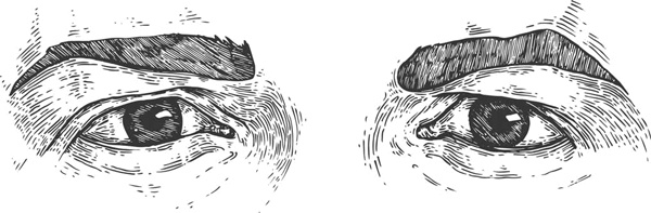 Иллюстрация к книге — Моя жизнь в его лапах. Удивительная история Теда - самой заботливой собаки в мире [i_024.jpg]