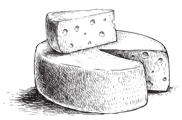 Иллюстрация к книге — Моя жизнь в его лапах. Удивительная история Теда - самой заботливой собаки в мире [i_025.jpg]