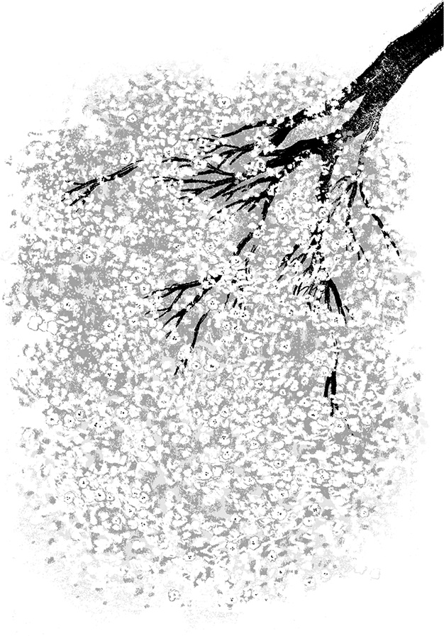 Иллюстрация к книге — Расстояние между мной и черешневым деревом [i_011.jpg]