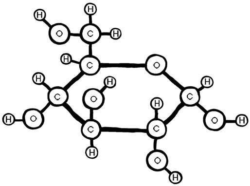 Иллюстрация к книге — Книга ЗОЖника  [i_009.jpg]