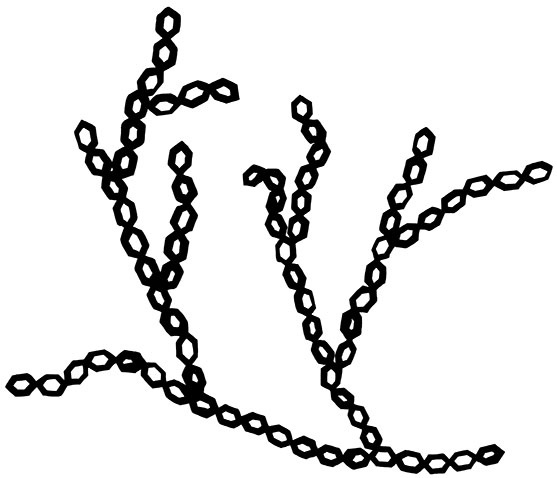 Иллюстрация к книге — Книга ЗОЖника  [i_010.jpg]