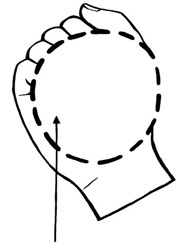 Иллюстрация к книге — Книга ЗОЖника  [i_020.jpg]