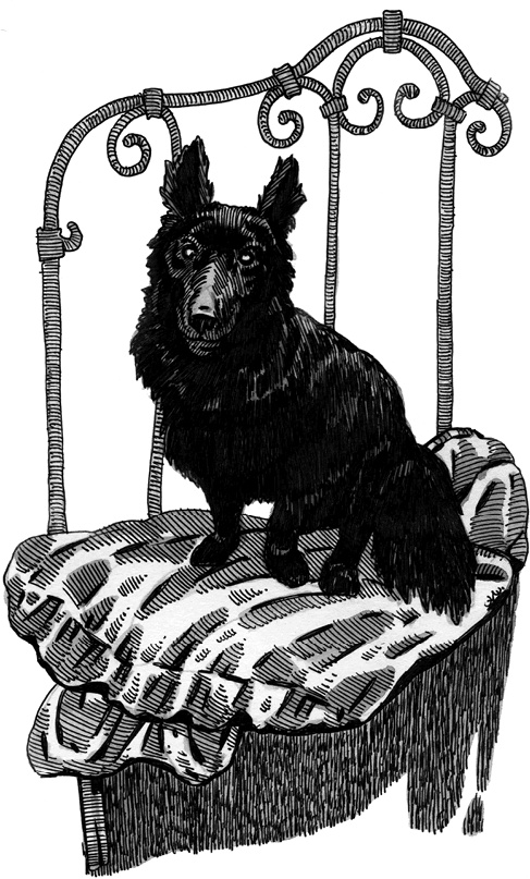 Иллюстрация к книге — Письмо, ведьма и кольцо [i_014.jpg]