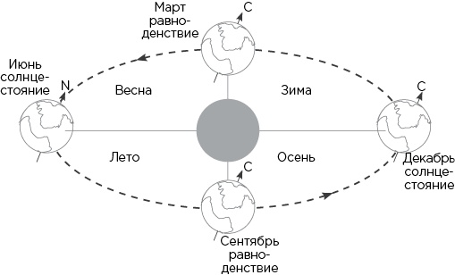 Иллюстрация к книге — Вселенная на ладони [i_023.jpg]