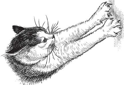 Иллюстрация к книге — Рыжий бродяга Тоби. Кот, подаривший утешение в самые трудные дни [i_005.jpg]