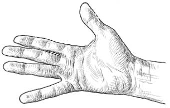 Иллюстрация к книге — Рыжий бродяга Тоби. Кот, подаривший утешение в самые трудные дни [i_009.jpg]