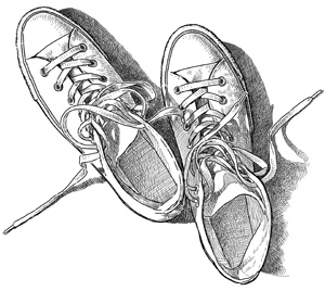 Иллюстрация к книге — Коты, вернувшие мне улыбку. История о счастье, книгах и всеобщих любимцах Бейкере и Тейлоре [i_014.jpg]