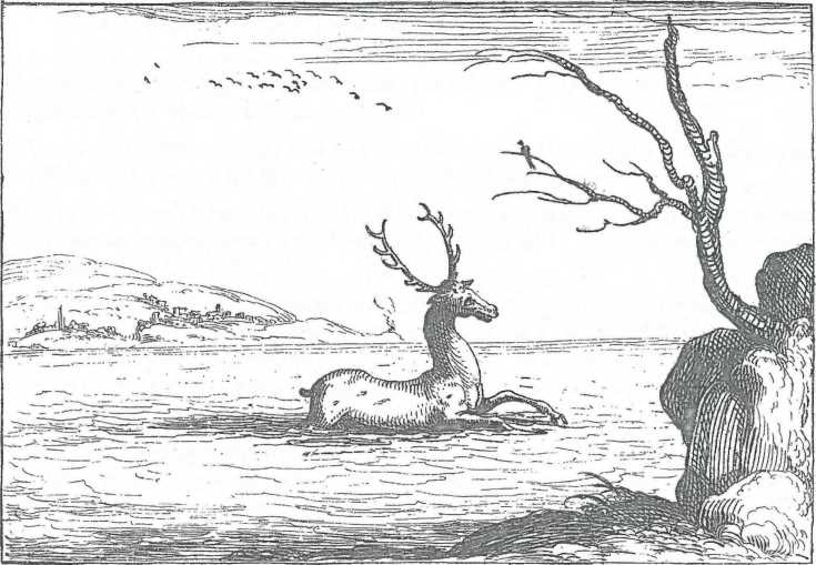 Иллюстрация к книге — Сказка сказок, или Забава для малых ребят [i_027.jpg]