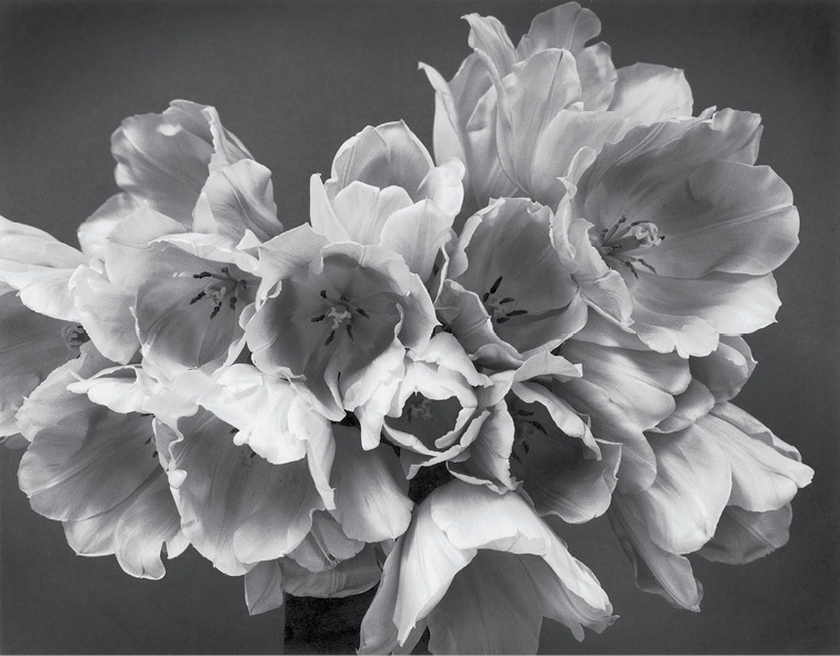 Иллюстрация к книге — Дзен-камера. Шесть уроков творческого развития и осознанности [i_045.jpg]