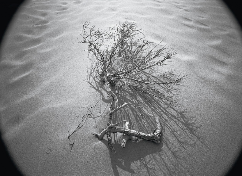 Иллюстрация к книге — Дзен-камера. Шесть уроков творческого развития и осознанности [i_050.jpg]