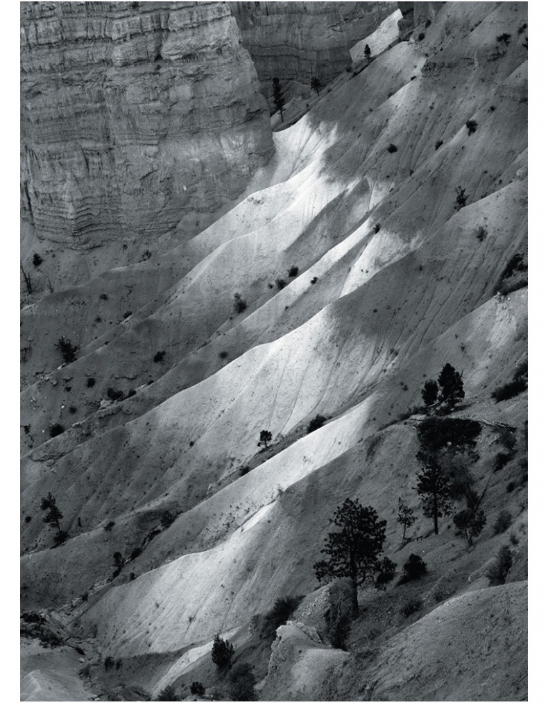 Иллюстрация к книге — Дзен-камера. Шесть уроков творческого развития и осознанности [i_053.jpg]