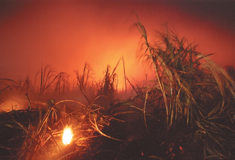 Иллюстрация к книге — Дзен-камера. Шесть уроков творческого развития и осознанности [i_062.jpg]