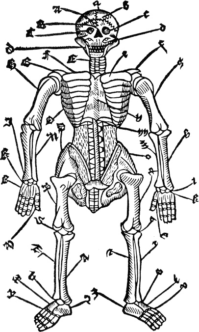 Иллюстрация к книге — Узник Двенадцати провинций [i_001.jpg]