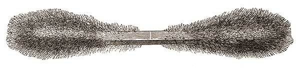 Иллюстрация к книге — Элементы: замечательный сон профессора Менделеева [_34.jpg]