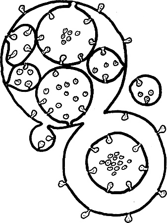 Иллюстрация к книге — Опасные соседи. Как распознать паразитов, не впасть в панику и свести вред для организма к минимуму [i_023.jpg]