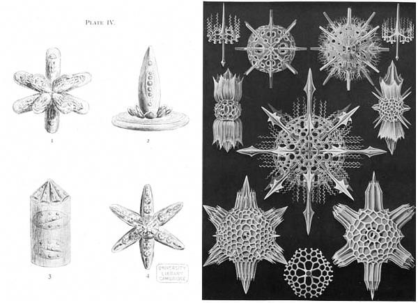 Иллюстрация к книге — Научные сказки периодической таблицы. Занимательная история химических элементов от мышьяка до цинка [i_028.jpg]
