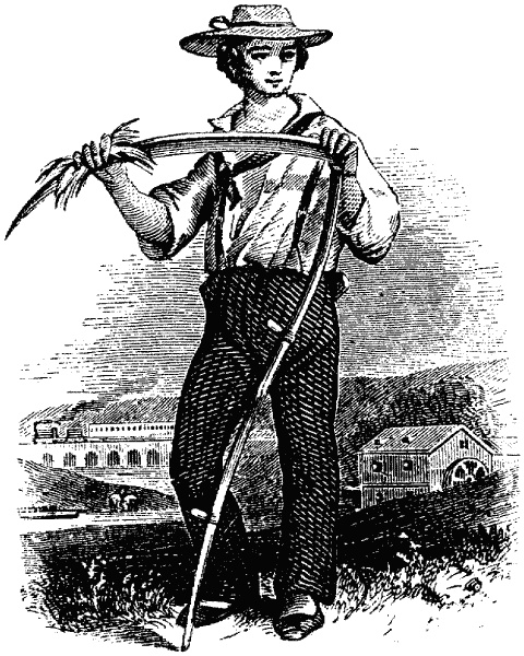 Иллюстрация к книге — Сто тысяч франков в награду [i_005.jpg]