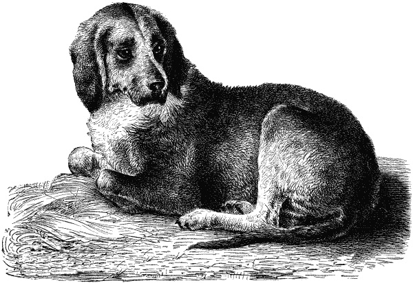 Иллюстрация к книге — Сто тысяч франков в награду [i_012.jpg]