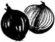 Иллюстрация к книге — Исповедь булочника [i_018.jpg]