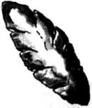 Иллюстрация к книге — Исповедь булочника [i_032.jpg]