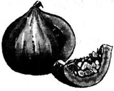 Иллюстрация к книге — Исповедь булочника [i_036.jpg]