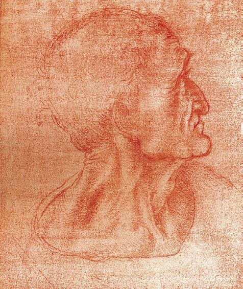 Иллюстрация к книге — Леонардо да Винчи [i_050.jpg]