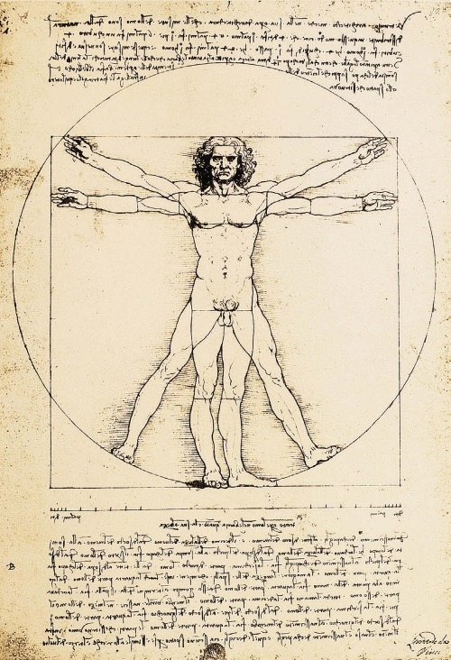 Иллюстрация к книге — Леонардо да Винчи [i_079.jpg]