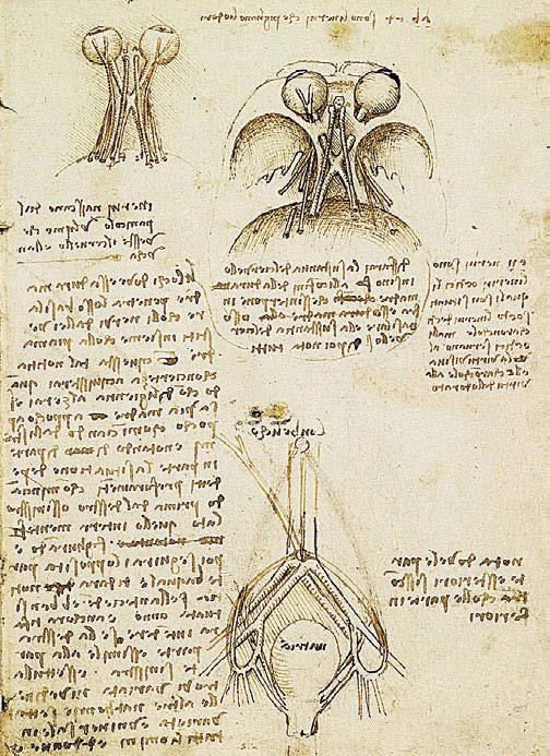 Иллюстрация к книге — Леонардо да Винчи [i_109.jpg]