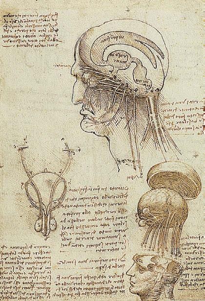 Иллюстрация к книге — Леонардо да Винчи [i_149.jpg]