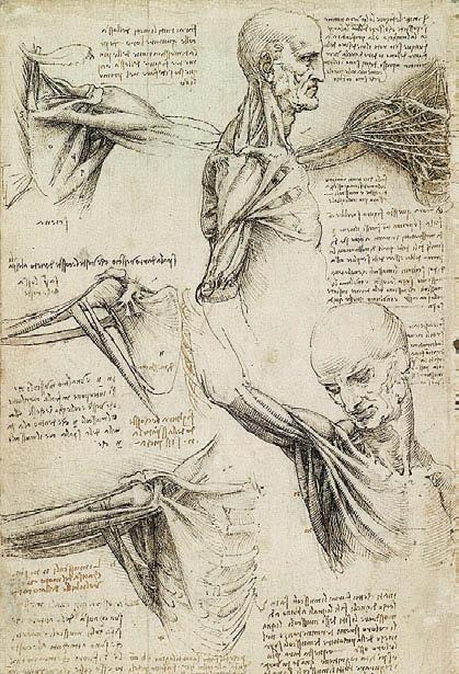 Иллюстрация к книге — Леонардо да Винчи [i_150.jpg]