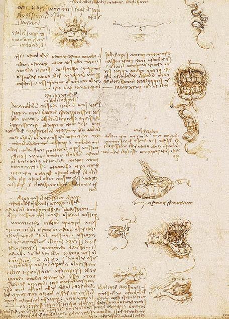 Иллюстрация к книге — Леонардо да Винчи [i_154.jpg]