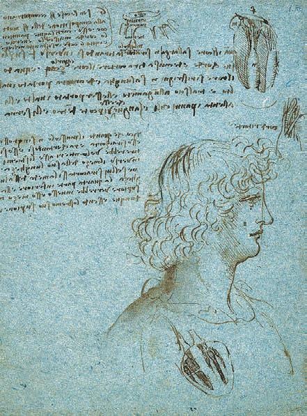 Иллюстрация к книге — Леонардо да Винчи [i_155.jpg]