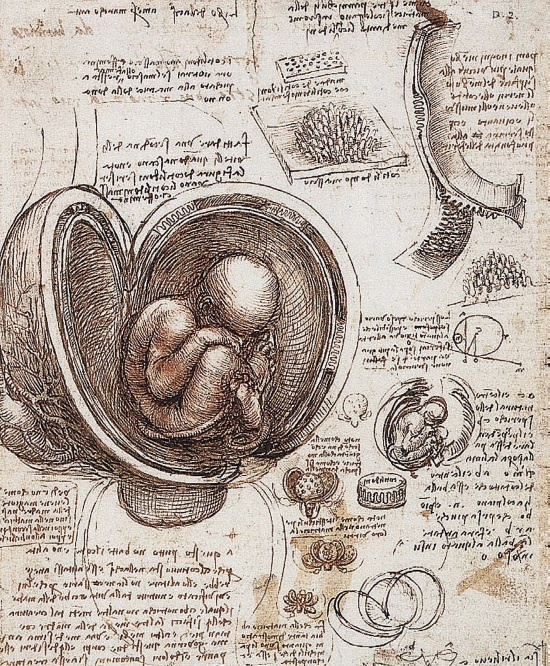 Иллюстрация к книге — Леонардо да Винчи [i_157.jpg]