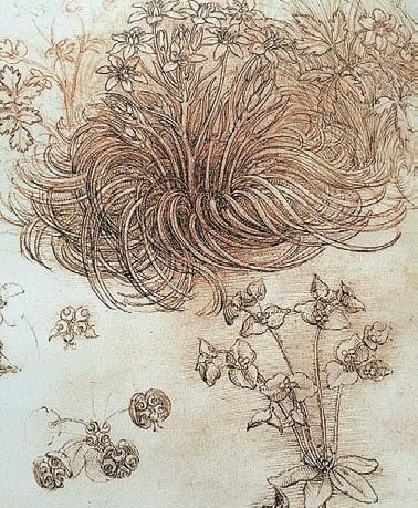 Иллюстрация к книге — Леонардо да Винчи [i_159.jpg]