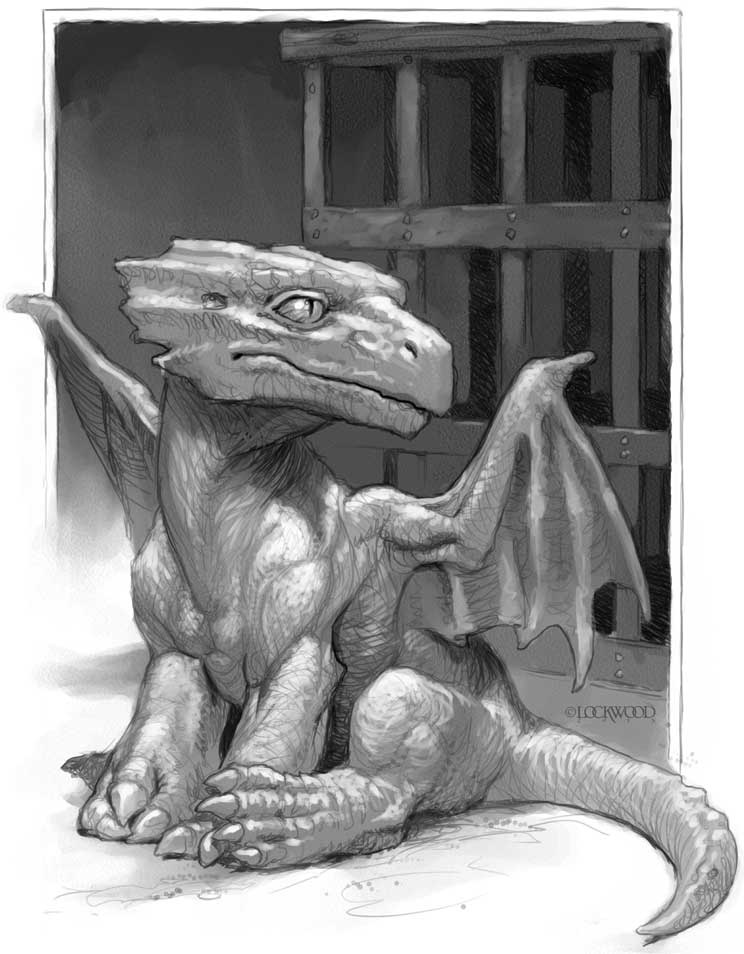 Иллюстрация к книге — Естественная история драконов. Тайна Лабиринта. Мемуары леди Трент [i_003.jpg]