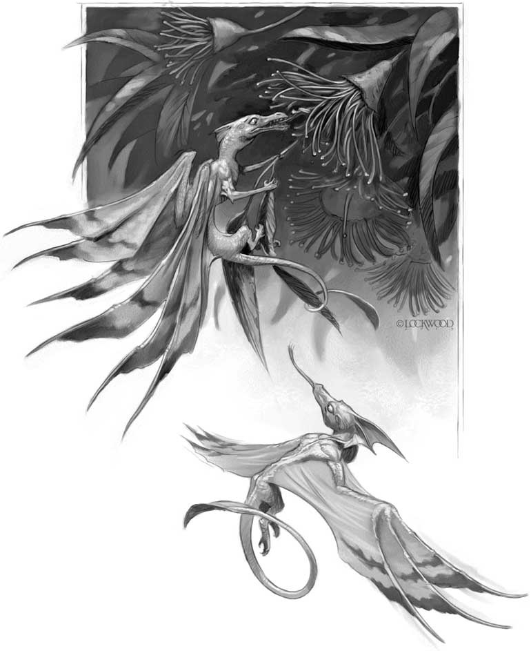 Иллюстрация к книге — Естественная история драконов. Тайна Лабиринта. Мемуары леди Трент [i_004.jpg]