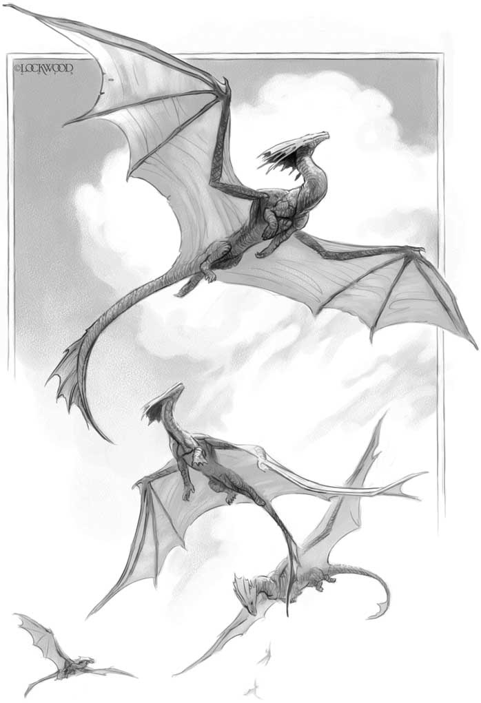 Иллюстрация к книге — Естественная история драконов. Тайна Лабиринта. Мемуары леди Трент [i_006.jpg]