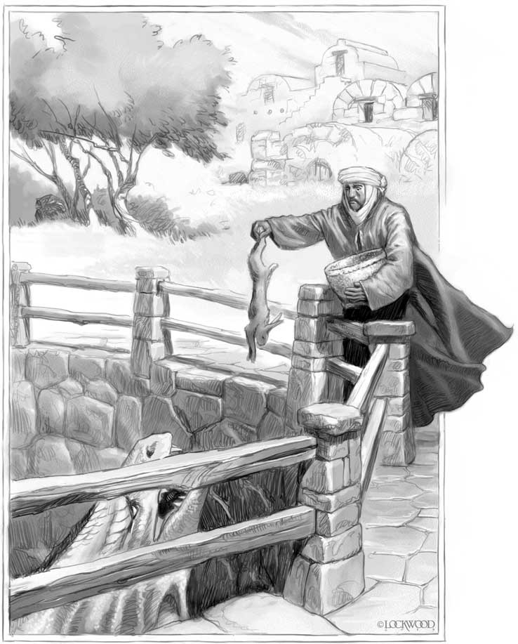 Иллюстрация к книге — Естественная история драконов. Тайна Лабиринта. Мемуары леди Трент [i_007.jpg]