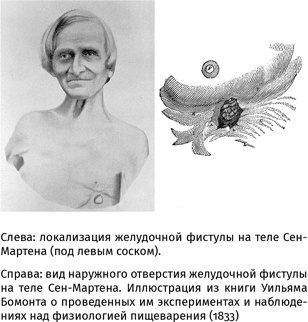 Иллюстрация к книге — 100 рассказов из истории медицины  [i_029.jpg]