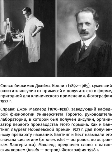 Иллюстрация к книге — 100 рассказов из истории медицины  [i_101.jpg]