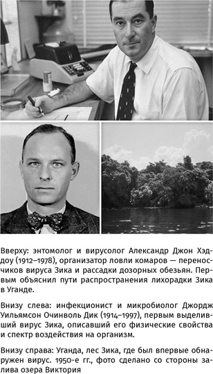 Иллюстрация к книге — 100 рассказов из истории медицины  [i_125.jpg]